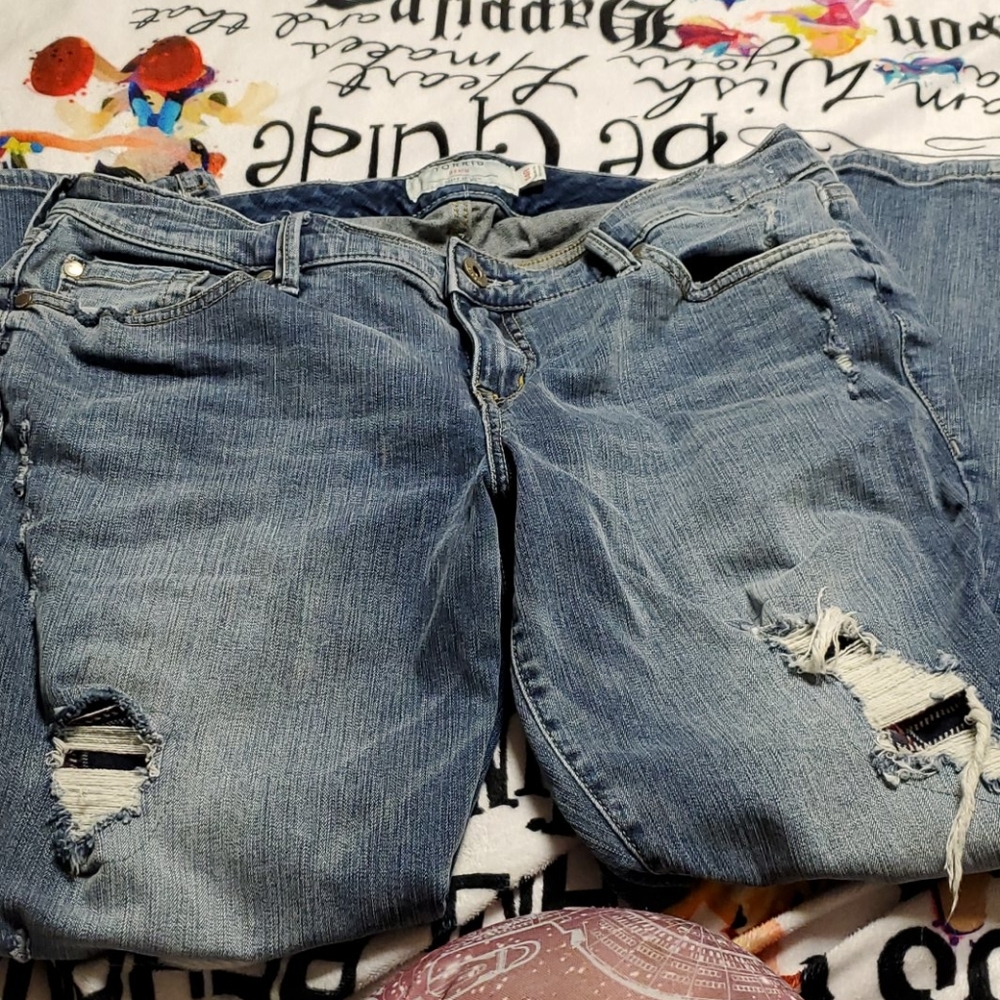 Torrid Denim